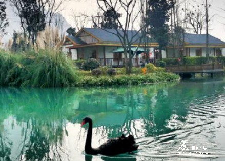 成都附近露營(yíng)的好地方，小魚(yú)洞斷橋漁歌，燒烤、玩水、爬山都齊了